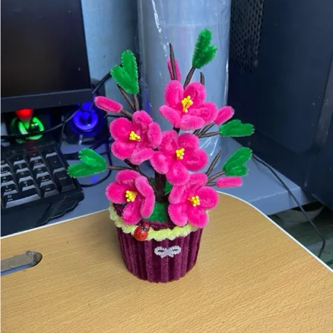 Chậu mini hoa kẽm nhung chưng Tết.Hoa mai,đào,quýt,đào đông. Ảnh thật