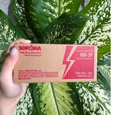 CẦU DAO ĐẾ SỨ 30A-2P-600V , 20A , 60A CỰC ĐÚC SOPOKA