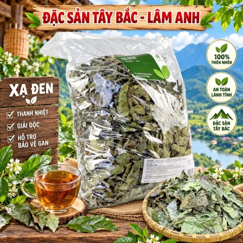 1Kg Xạ Đen Hoà Bình (Đạt Chuẩn GMP-WHO) Loại Đặc Biệt, Giúp Dễ Ngủ, Thanh Lọc, Thanh Nhiệt, Chứng Nhận ATVSTP Chuẩn Sạch