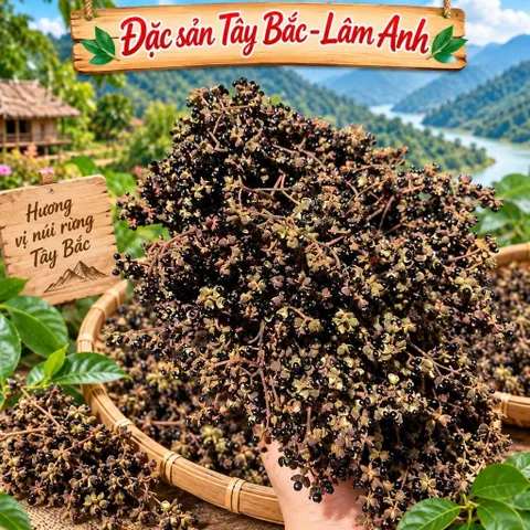 100Gr Hạt Mắc Khén Hoà Bình, Chuẩn Vị Hương Thơm Đặc Trưng, Gia Vị Núi Rừng Tây Bắc, Tẩm Ướp Gà, Cá Nướng, Gia Vị Chấm