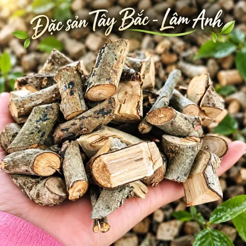 1Kg Nguyên Cành Xạ Đen Hoà Bình (Đã Sao Vàng Hạ Thổ) Bản Mường Vụ Mới Khô, Thơm, Dễ Ngủ, Thanh Nhiệt, Mát Gan, Detox