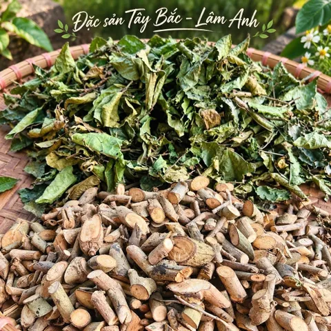 1Kg Nguyên Cành Xạ Đen Hoà Bình (Đã Sao Vàng Hạ Thổ) Bản Mường Vụ Mới Khô, Thơm, Dễ Ngủ, Thanh Nhiệt, Mát Gan, Detox