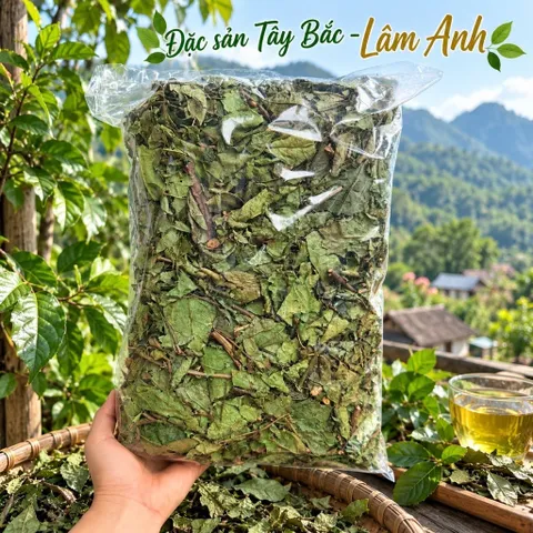 1Kg Xạ Đen Hoà Bình Phơi Khô (Cả Thân Và Lá), Bản Mường Vụ Mới Khô, Thơm, Giúp Dễ Ngủ, Thanh Nhiệt, Mát Gan, Detox