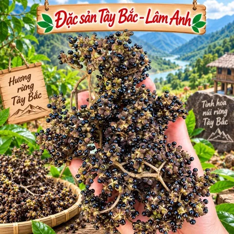 100Gr Hạt Mắc Khén Hoà Bình, Chuẩn Vị Hương Thơm Đặc Trưng, Gia Vị Núi Rừng Tây Bắc, Tẩm Ướp Gà, Cá Nướng, Gia Vị Chấm