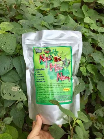 Trà Ngũ Mộc Nam giải độc gan, hạ huyết áp, tiểu đường, mỡ máu, gút