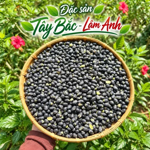 1Kg Đậu Đen Rang Muối, Giòn Tan Ăn Liền (Xanh Lòng Loại 1), Hữu Cơ, Eatclean, Ăn Vặt Thuần Chay, Giàu Dinh Dưỡng