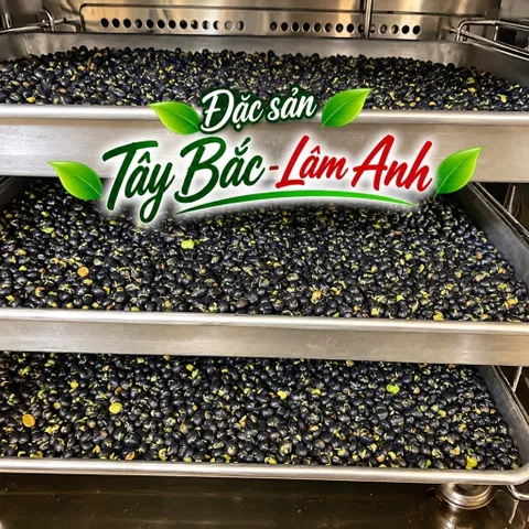 1Kg Đậu Đen Rang Muối, Giòn Tan Ăn Liền (Xanh Lòng Loại 1), Hữu Cơ, Eatclean, Ăn Vặt Thuần Chay, Giàu Dinh Dưỡng