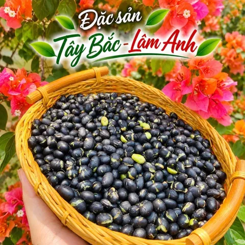 1Kg Đậu Đen Rang Muối, Giòn Tan Ăn Liền (Xanh Lòng Loại 1), Hữu Cơ, Eatclean, Ăn Vặt Thuần Chay, Giàu Dinh Dưỡng