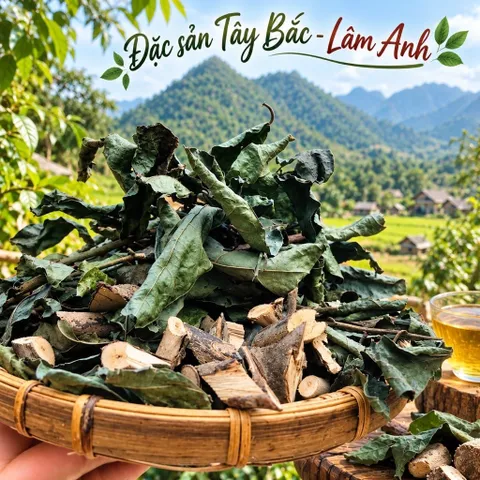 1Kg Nguyên Cành Xạ Đen Hoà Bình (Đã Sao Vàng Hạ Thổ) Bản Mường Vụ Mới Khô, Thơm, Dễ Ngủ, Thanh Nhiệt, Mát Gan, Detox