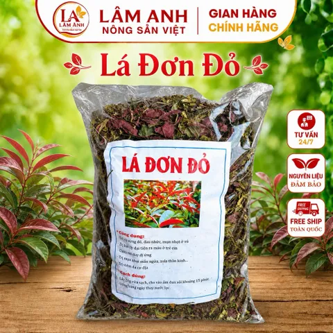 1Kg Lá Đơn Đỏ Mới Sạch Thơm Tự Phơi, Hỗ Trợ Mề Đay Mẩn Ngứa Thanh Nhiệt Giảm Rôm Sảy, Hỗ Trợ Tiêu Hóa Khỏe Da