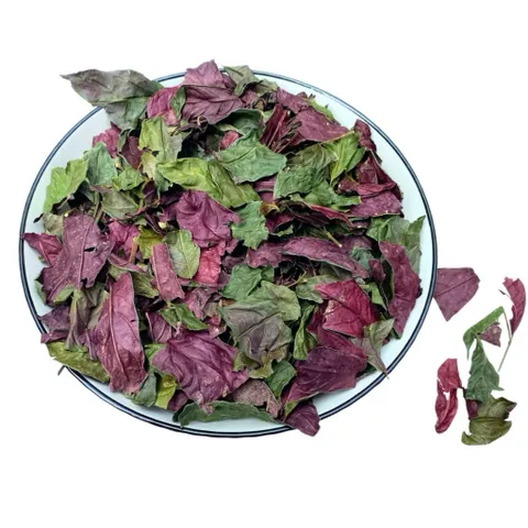 1Kg Lá Đơn Đỏ Mới Sạch Thơm Tự Phơi, Hỗ Trợ Mề Đay Mẩn Ngứa Thanh Nhiệt Giảm Rôm Sảy, Hỗ Trợ Tiêu Hóa Khỏe Da