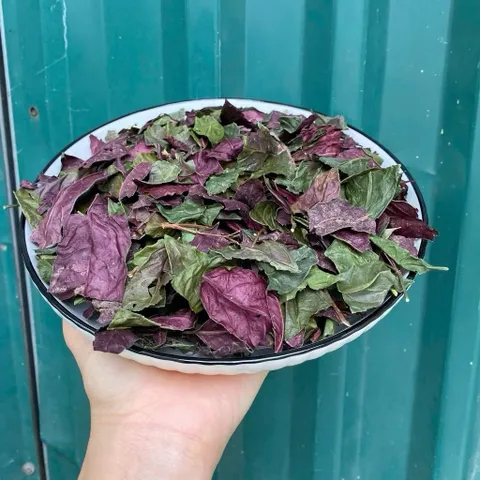 1Kg Lá Đơn Đỏ Mới Sạch Thơm Tự Phơi, Hỗ Trợ Mề Đay Mẩn Ngứa Thanh Nhiệt Giảm Rôm Sảy, Hỗ Trợ Tiêu Hóa Khỏe Da