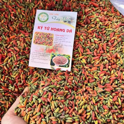 1Kg Kỷ Tử Đỏ Hoang Dã Núi Trường Bạch Sấy Khô, Organic Tự Nhiên Hỗ Trợ Chống Oxy Hóa, Bổ Sung Dinh Dưỡng, Hãm Trà
