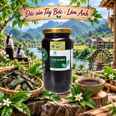 500Gr Cao Xạ Đen Hoà Bình Nguyên Chất Hỗ Trợ Thanh Nhiệt, Mát Gan, Ngủ Ngon, Thanh Lọc Cơ Thể