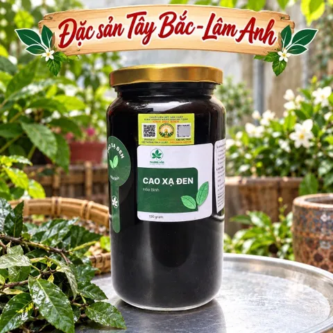 500Gr Cao Xạ Đen Hoà Bình Nguyên Chất Hỗ Trợ Thanh Nhiệt, Mát Gan, Ngủ Ngon, Thanh Lọc Cơ Thể
