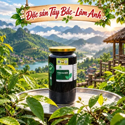 500Gr Cao Xạ Đen Hoà Bình Nguyên Chất Hỗ Trợ Thanh Nhiệt, Mát Gan, Ngủ Ngon, Thanh Lọc Cơ Thể