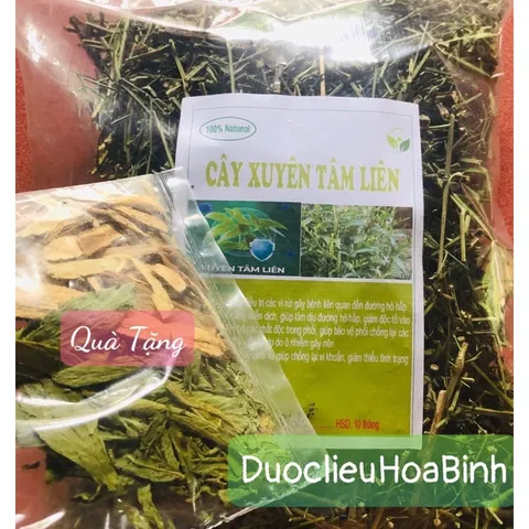 XUYÊN TÂM LIÊN ( Mới )
