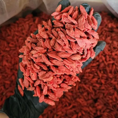 500Gr Kỷ Tử Ninh Hạ (Câu Kỉ Tử) Màu Tự Nhiên Không Nhuộm, Hạt To Đều, Dùng Pha Trà, Tiềm Gà, Đẹp Da, Dễ Ngủ, Sáng Mắt