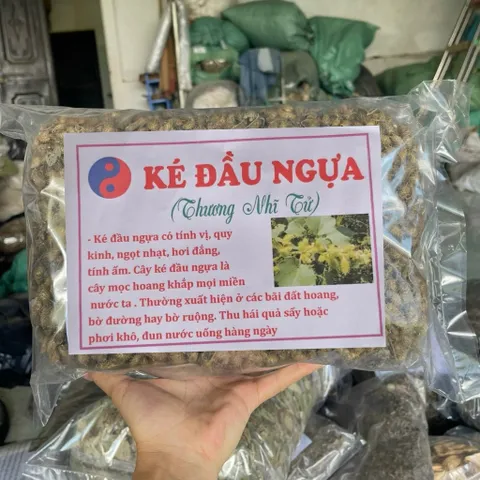 1Kg Ké Đầu Ngựa (Thương Nhĩ Tử) Sao Vàng Hạ Thổ, Khô, Thơm, Thảo Mộc Tự Nhiên Thường Dùng Pha Trà Thanh Lọc