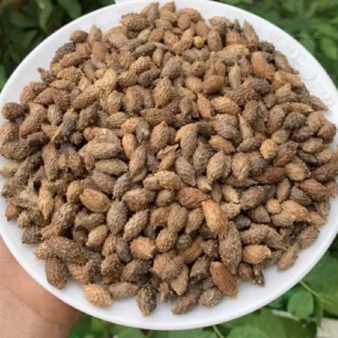 1Kg Ké Đầu Ngựa (Thương Nhĩ Tử) Sao Vàng Hạ Thổ, Khô, Thơm, Thảo Mộc Tự Nhiên Thường Dùng Pha Trà Thanh Lọc