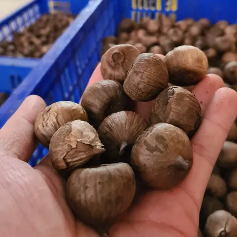 1Kg Tỏi Đen Cô Đơn (Loại 1 Không Vỡ Vỏ) Lên Men Tự Nhiên – Hỗ Trợ Tiêu Hóa, Tăng Sức Đề Kháng, Dẻo Thơm Dễ Ăn