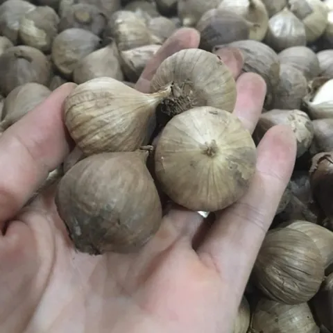 1Kg Tỏi Đen Cô Đơn (Loại 1 Không Vỡ Vỏ) Lên Men Tự Nhiên – Hỗ Trợ Tiêu Hóa, Tăng Sức Đề Kháng, Dẻo Thơm Dễ Ăn
