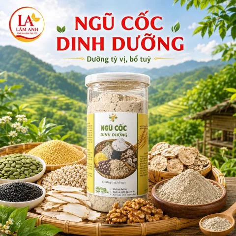 Bột Bổ Tỳ Vị – Sữa Hạt Ngũ Cốc Dinh Dưỡng, Bổ Tuỷ Tăng Chiều Cao, Bổ Máu, Khỏe Xương, Cân Bằng Năng Lượng