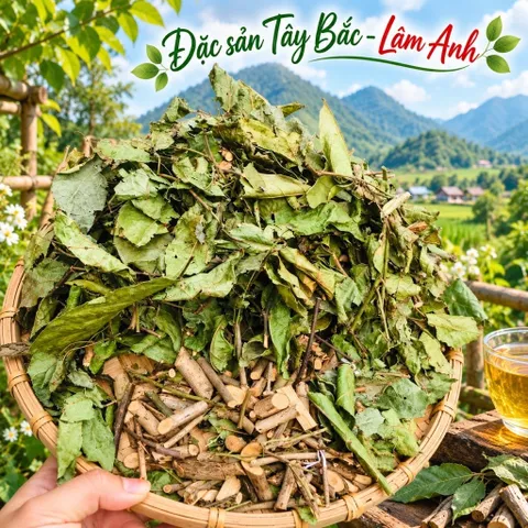 2Kg Xạ Đen Hoà Bình (Đã Sao Vàng Hạ Thổ), Cả Thân Và Lá, Vụ Mới Khô Thơm, Giúp Dễ Ngủ, Thanh Nhiệt, Mát Gan, Trà Detox