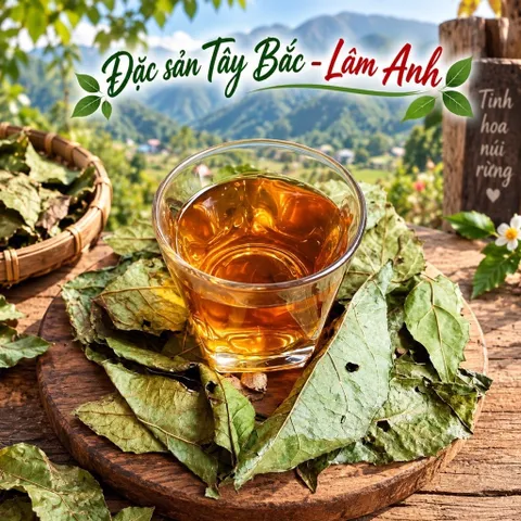 2Kg Xạ Đen Hoà Bình (Đã Sao Vàng Hạ Thổ), Cả Thân Và Lá, Vụ Mới Khô Thơm, Giúp Dễ Ngủ, Thanh Nhiệt, Mát Gan, Trà Detox