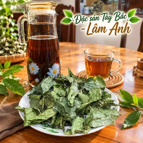 2Kg Xạ Đen Hoà Bình (Đã Sao Vàng Hạ Thổ), Cả Thân Và Lá, Vụ Mới Khô Thơm, Giúp Dễ Ngủ, Thanh Nhiệt, Mát Gan, Trà Detox