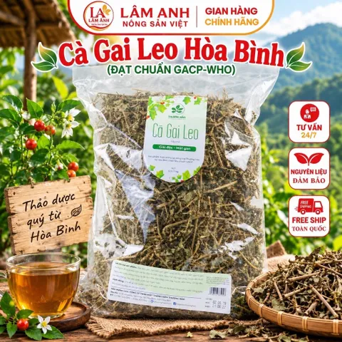 1Kg Cà Gai Leo Hòa Bình - Chuẩn GACP-WHO (Có Chứng Nhận ATTP), Đã Sao Hạ Thổ, Khô Thơm, Thanh Nhiệt, Mát Gan, Dễ Uống