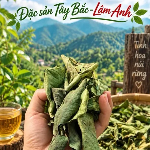 1Kg Nguyên Lá Xạ Đen Hoà Bình (Đã Sao Vàng Hạ Thổ) Bản Mường Vụ Mới Khô, Thơm, Giúp Dễ Ngủ, Thanh Nhiệt, Mát Gan, Detox