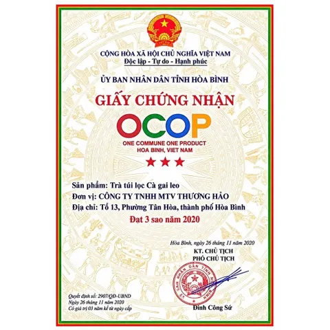 1Kg Túi Lọc Cà Gai Leo Hoà Bình, Đạt Chuẩn GACPWHO (Có Chứng Nhận ATTP) Đã Sao Hạ Thổ, Khô, Thơm, Giải Nhiệt, Thanh Mát