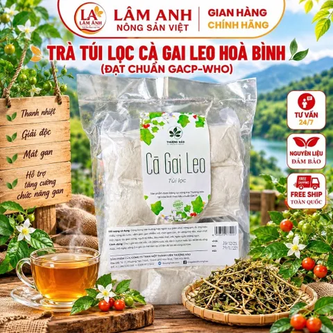 1Kg Túi Lọc Cà Gai Leo Hoà Bình, Đạt Chuẩn GACPWHO (Có Chứng Nhận ATTP) Đã Sao Hạ Thổ, Khô, Thơm, Giải Nhiệt, Thanh Mát