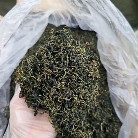 100g Bồ Công Anh Sấy Lạnh - Thanh Lọc Cơ Thể, Mát Gan, Hỗ Trợ Lợi Sữa, Tắc Tia Sữa, Thanh Nhiệt, Detox