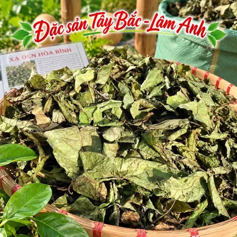 2Kg Nguyên Lá Xạ Đen Hoà Bình (Đã Sao Vàng Hạ Thổ) Bản Mường Vụ Mới Khô, Thơm, Giúp Dễ Ngủ, Thanh Nhiệt, Mát Gan, Detox