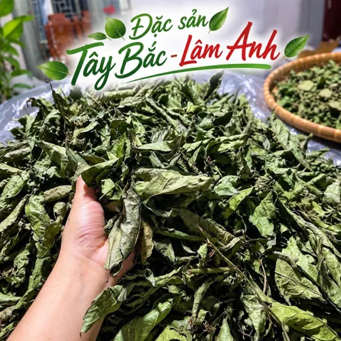 2Kg Nguyên Lá Xạ Đen Hoà Bình (Đã Sao Vàng Hạ Thổ) Bản Mường Vụ Mới Khô, Thơm, Giúp Dễ Ngủ, Thanh Nhiệt, Mát Gan, Detox