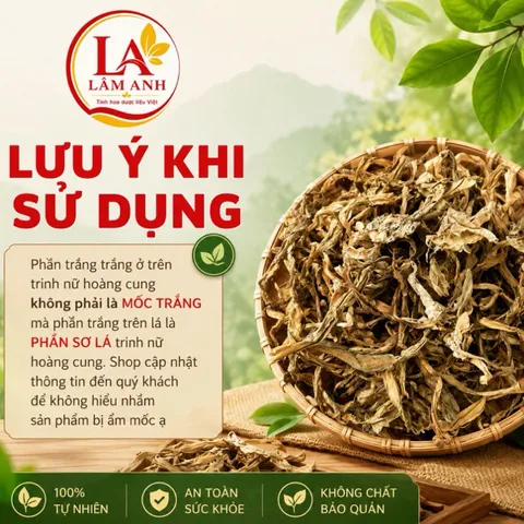 1Kg Trinh Nữ Hoàng Cung (Sao Vàng Hạ Thổ) Được Lưu Truyền Hỗ Trợ Nữ Giới - Nấu Nước Uống Thanh Mát, Hương Vị Tự Nhiên