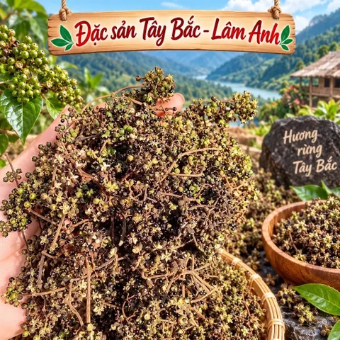 500Gr Hạt Mắc Khén Hoà Bình, Chuẩn Vị Hương Thơm Đặc Trưng, Gia Vị Núi Rừng Tây Bắc, Tẩm Ướp Gà, Cá Nướng, Gia Vị Chấm
