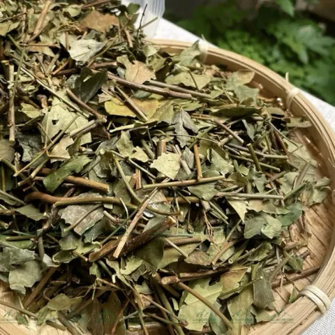 1Kg Chè Vằng Sẻ (Sao Vàng Hạ Thổ) Lợi Sữa, Giảm Cân, Thanh Nhiệt, Mát Gan, Nguyên Chất, Dễ Uống Hàng Ngày
