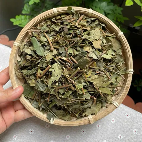 1Kg Chè Vằng Sẻ (Sao Vàng Hạ Thổ) Lợi Sữa, Giảm Cân, Thanh Nhiệt, Mát Gan, Nguyên Chất, Dễ Uống Hàng Ngày