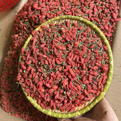 1Kg Kỷ Tử Ninh Hạ HÀNG RỪNG (VIP) Màu Tự Nhiên Không Nhuộm, Hạt To Đều, Dùng Pha Trà, Tiềm Gà, Giúp Đẹp Da, Sáng Mắt
