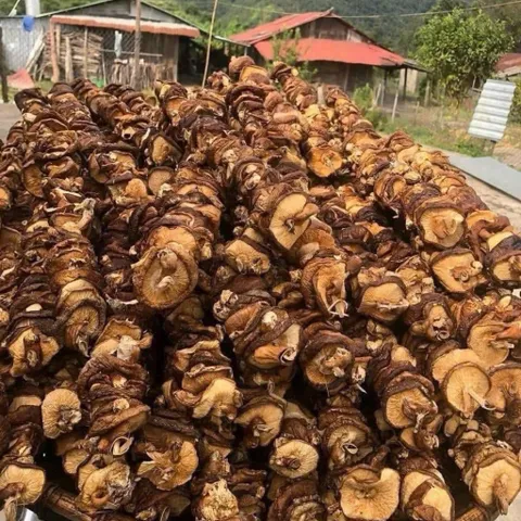 200gr Nấm Hương Rừng Xiên Khô - Đặc Sản Vùng Cao, Tai Dày Thơm Đậm, Bổ Sung Chất Xơ, Dùng Nấu Canh Xào Chay