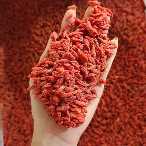 1Kg Kỷ Tử Ninh Hạ (Câu Kỉ Tử) Màu Tự Nhiên Không Nhuộm, Hạt To Đều, Dùng Pha Trà, Tiềm Gà, Giúp Đẹp Da, Dễ Ngủ, Sáng Mắt