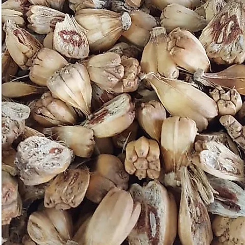 1Kg Quả Dứa Dại Rừng (Dứa Gai) Sao Vàng Hạ Thổ, Khô, Thơm, Hỗ Trợ Sỏi Thận, Sỏi Mật, Sỏi Tiết Niệu