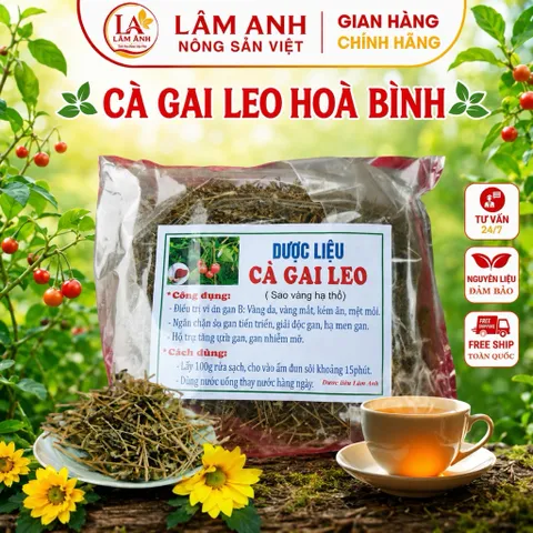 1Kg Cà Gai Leo Hoà Bình (Sao Vàng Hạ Thổ, Khô, Thơm) Thanh Mát, Dễ Uống, Dùng Hàng Ngày, Thảo Mộc Dân Gian