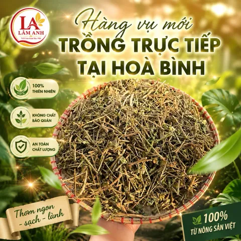 1Kg Cà Gai Leo Hoà Bình (Sao Vàng Hạ Thổ, Khô, Thơm) Thanh Mát, Dễ Uống, Dùng Hàng Ngày, Thảo Mộc Dân Gian