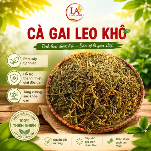 1Kg Cà Gai Leo Hoà Bình (Sao Vàng Hạ Thổ, Khô, Thơm) Thanh Mát, Dễ Uống, Dùng Hàng Ngày, Thảo Mộc Dân Gian