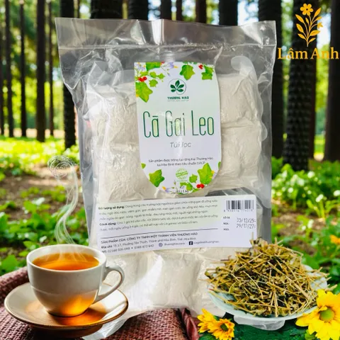 1Kg Cà Gai Leo Hoà Bình (Sao Vàng Hạ Thổ, Khô, Thơm) Thanh Mát, Dễ Uống, Dùng Hàng Ngày, Thảo Mộc Dân Gian