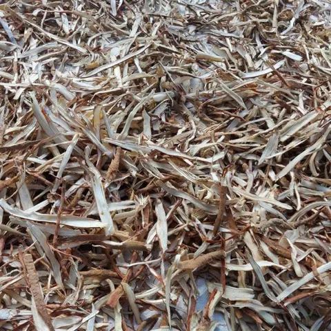 1Kg Sâm Cau Đỏ Hoà Bình (Đã Sao Vàng Hạ Thổ) - Thảo Dược Truyền Thống Hỗ Trợ Sinh Lực – Rễ Sâm Cau Thái Mỏng Phơi Khô